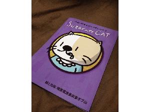 かわいそうなネコさんの本シリーズ　SUTERARECAT